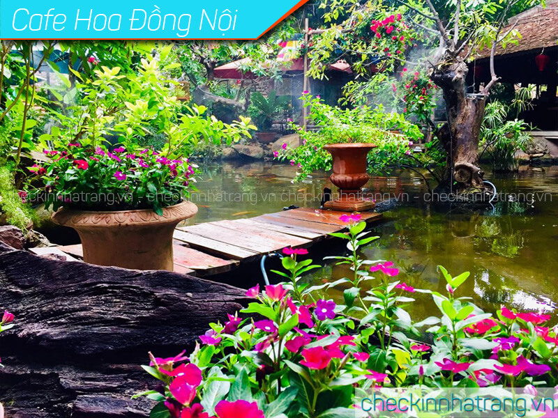 Quán cafe đẹp ở Nha Trang Hoa Đồng Nội
