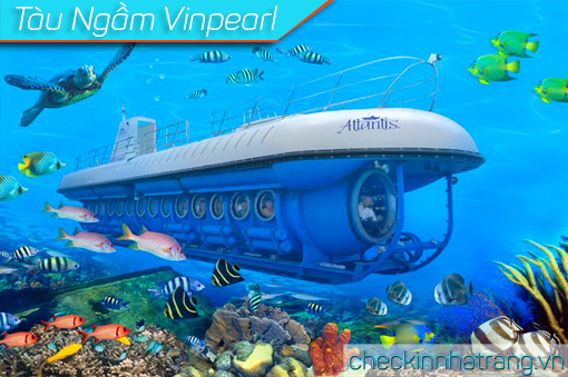 Tàu ngầm Vinpearl Nha Trang - Nên hay không nên?