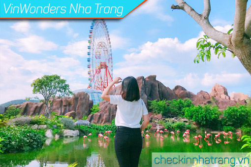 Vinwonders Nha Trang có gì Giá vé mới, Kinh nghiệm hay